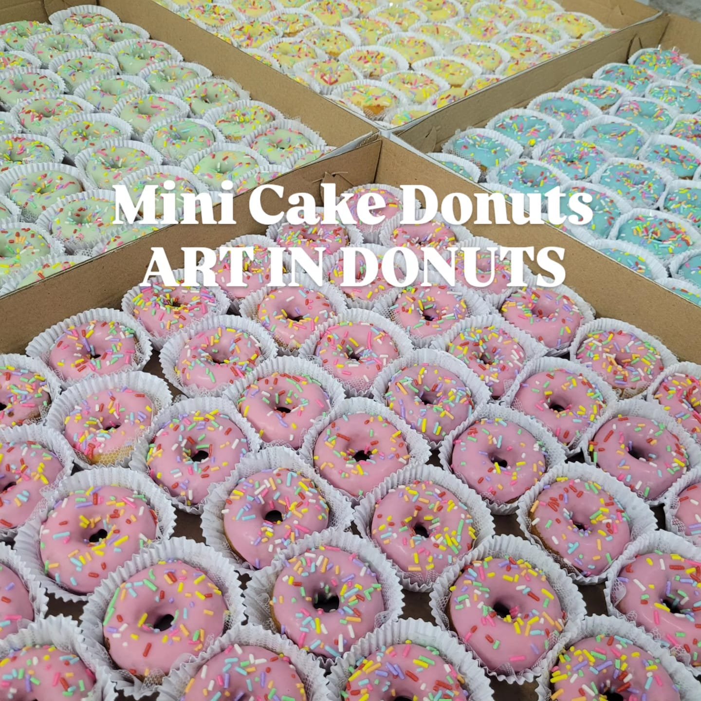 Mini Cake Donuts para Festas e Eventos